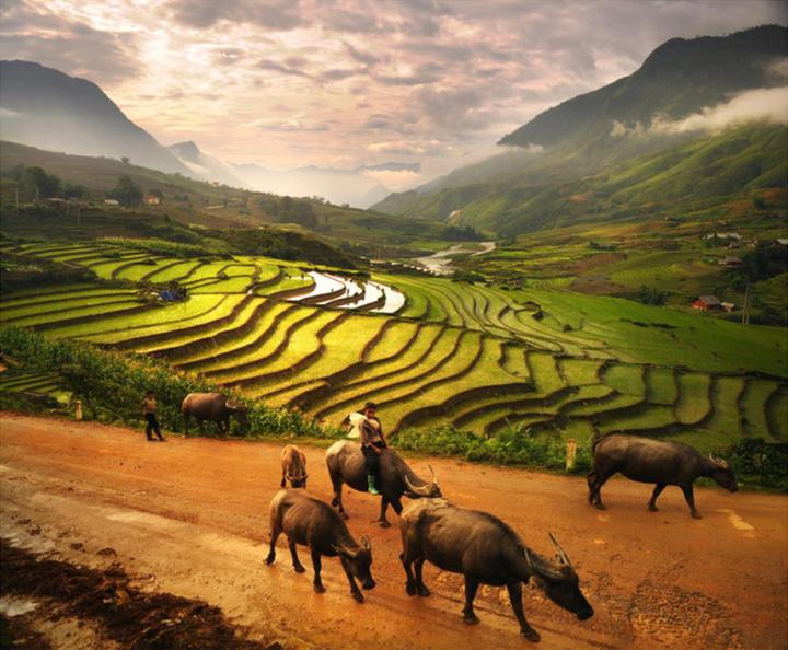 Hotspot Matrix: Nâng tầm sáng tạo, giải phóng gánh nặng vận hành