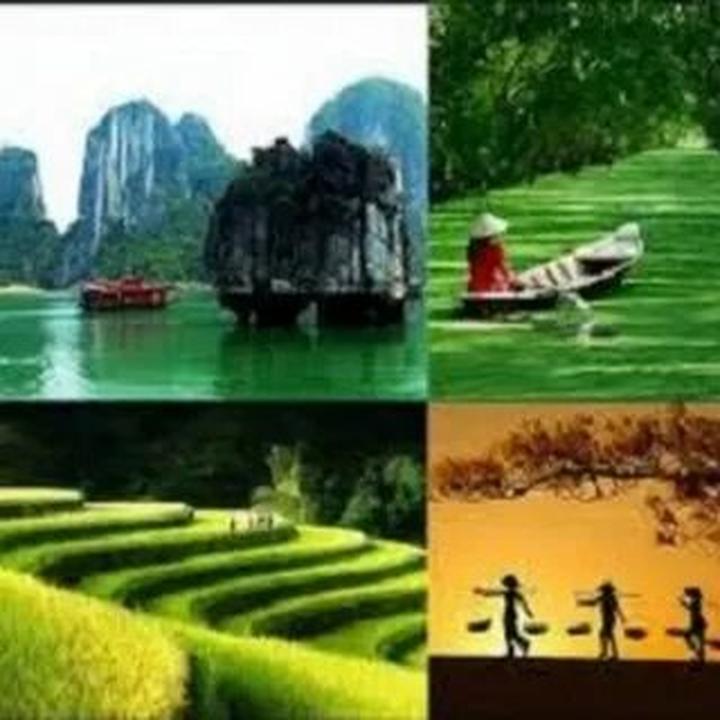 Học tiếng Anh và tìm thấy tình yêu: Câu chuyện của chị An và anh David