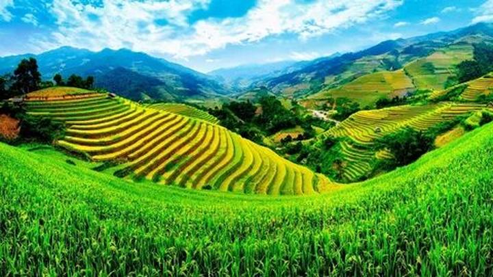 Chuyên gia Hotspot Matrix phân tích: Động thái bất ngờ của BTV và marketing video